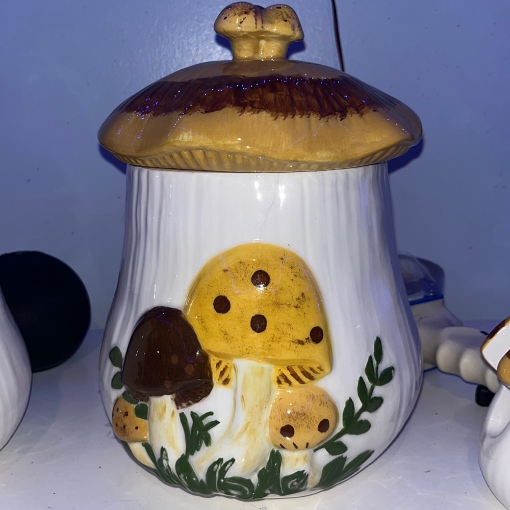 Large mushrooms I’m canister